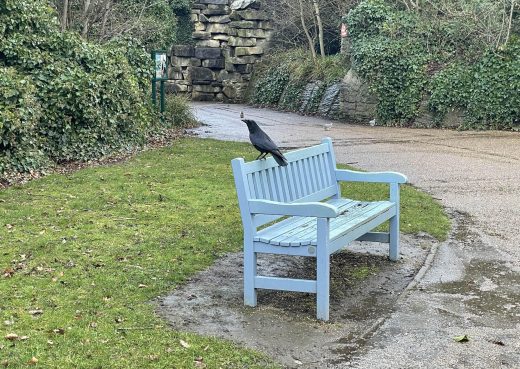 Painted York bench installed in East Park many years ago.