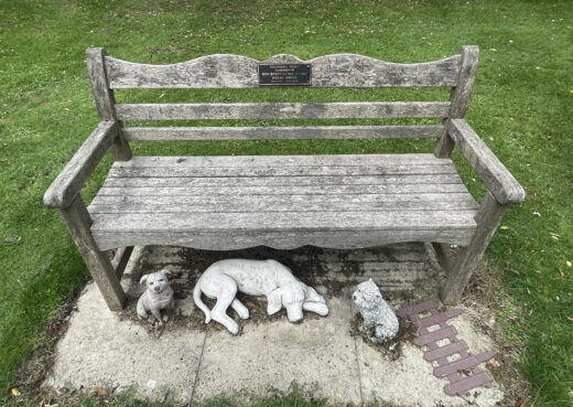 Front view of a 12 year old naturally silvered Beverley Bench