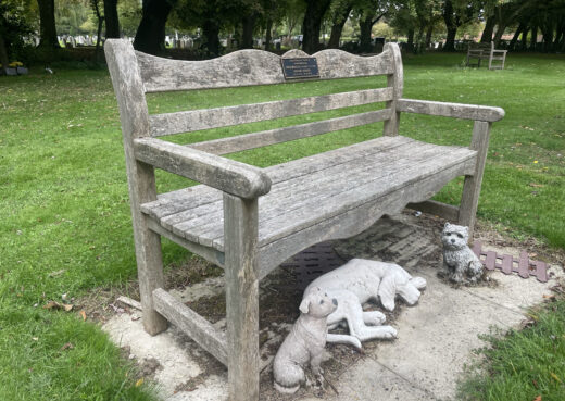 Side view of a 12 year old naturally silvered Beverley Bench