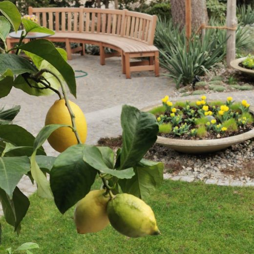 Beautiful garden with our curved bench