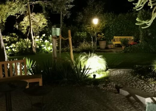 During Autumn and Winter the garden becomes a scene of social activity