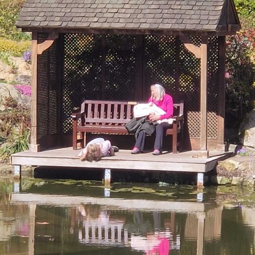 Our Shelter at Burnby Hall