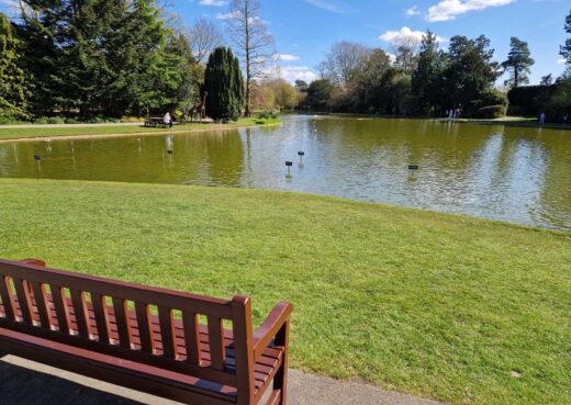 The York bench overlooking the lake at Burnby Hall Gardens