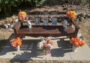 Still Sitting Strong: Decades of Woodcraft Benches at Chanterlands