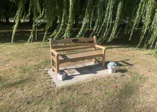 Well-preserved wooden memorial bench beneath a mature willow tree at Chanterlands Crematorium in Hull.