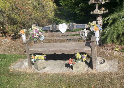 Heavily weathered Beverley Memorial Bench with fresh flowers, plaques and tributes