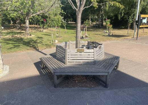 Large weathered timber tree seat made by Woodcraft in the landscaped grounds at Chanterlands Crematorium, Hull.