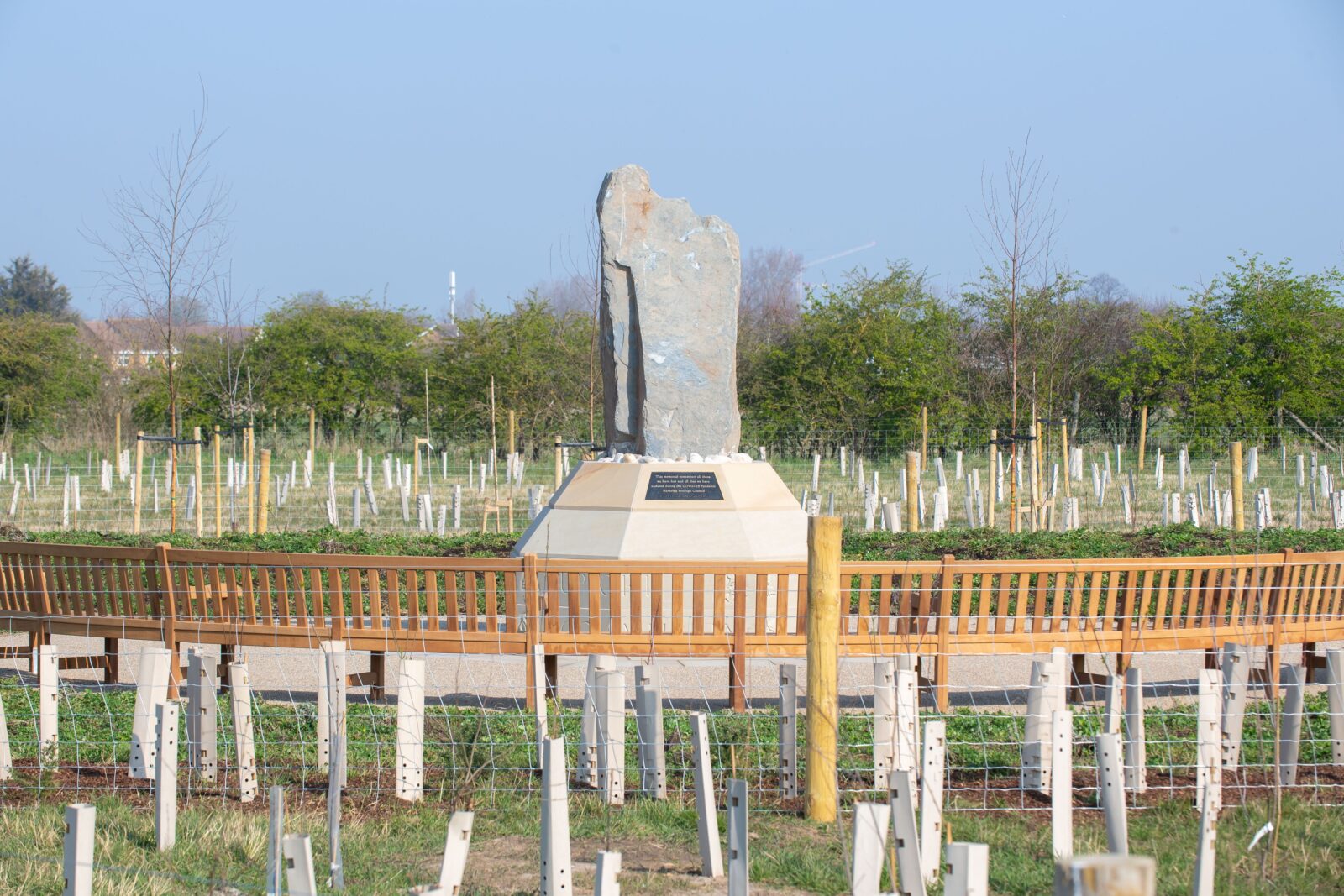 Our Memorial bench at the COVID19 Memorial Woodland in South