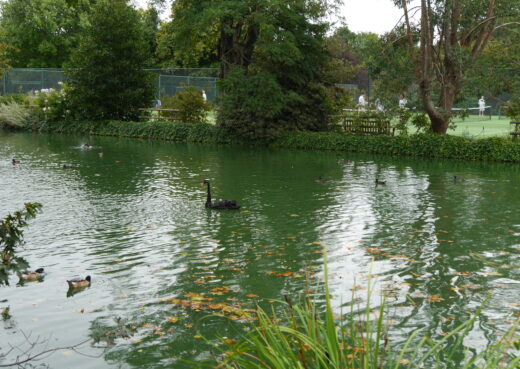 Hurlingham Club Lake