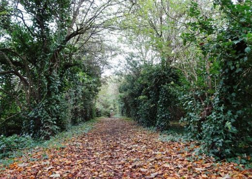 Ancient pathway: Sutton Trod