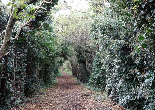 Sutton Trod used by monks in 11th Century