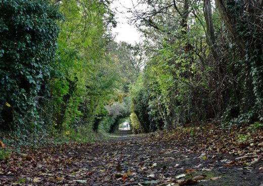 Ancient pathway at Sutton Trod