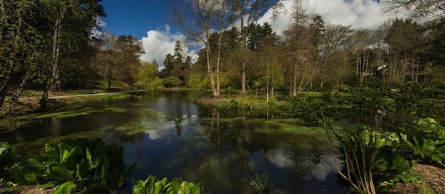 Bodnant Garden