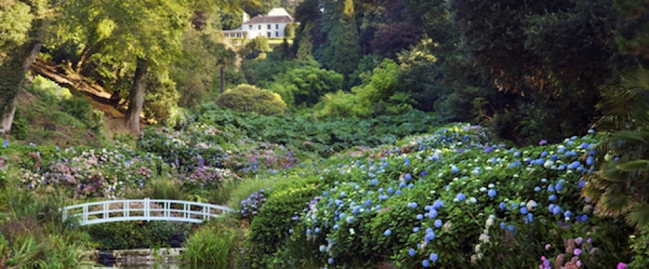 Trebah Garden