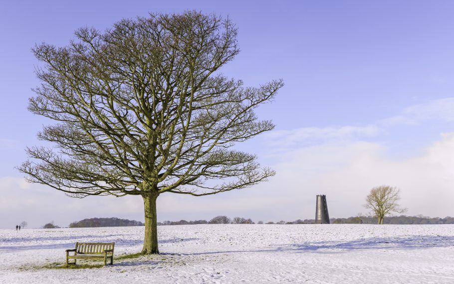 A twenty five year old garden bench braving the elements on Beverley Westwood.