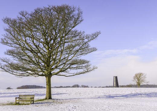 A twenty five year old garden bench braving the elements on Beverley Westwood.