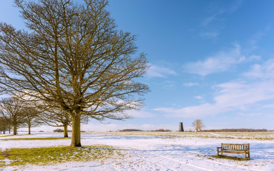 Our York bench on Beverley Westwood. Christmas, Wintery scene.