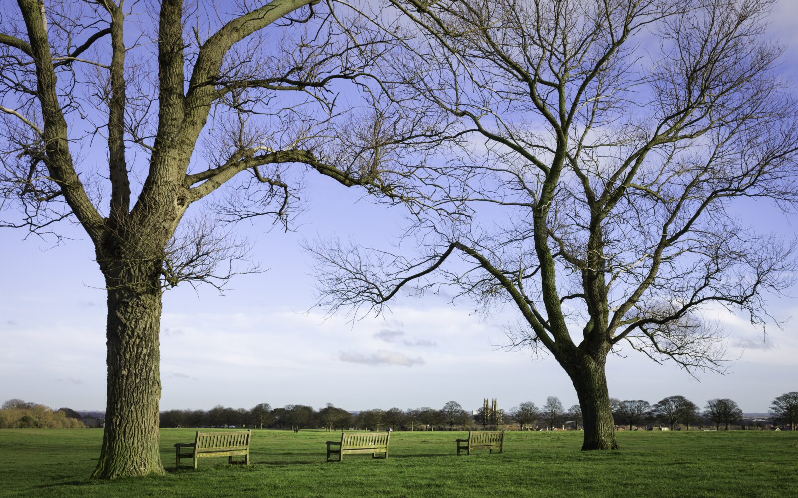 How to go about installing a Memorial Bench in a public space in Hull