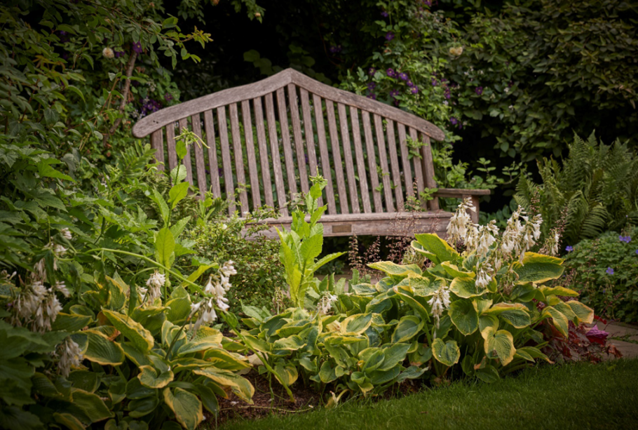 The Bute Memorial bench