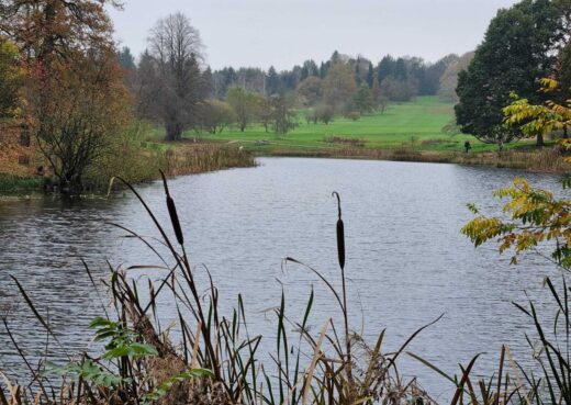 Whats App Image 2024 11 11 at 10 30 51