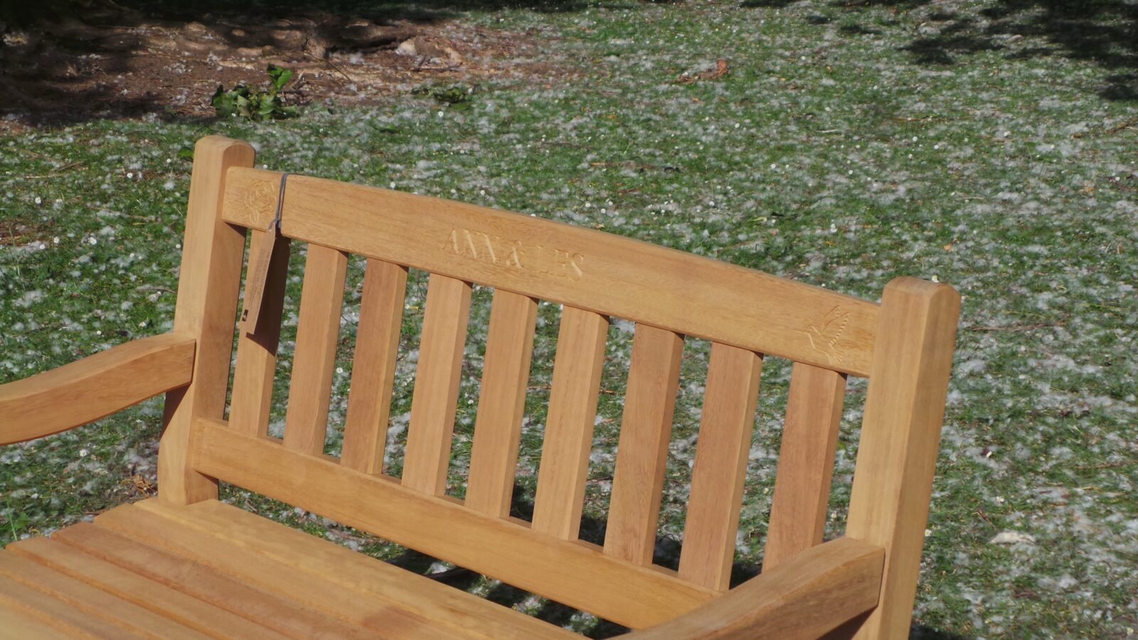 Three brand new memorial benches are being installed in East Park in