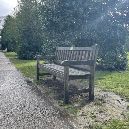 Probably the oldest bench in East Park