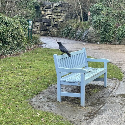 Painted York bench installed in East Park many years ago.