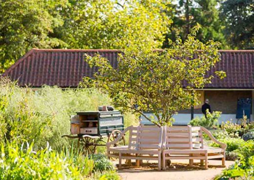 Hampton Court Kitchen Gardens