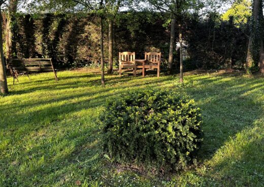 The Helmsley Companion Bench in Charles's Orchard