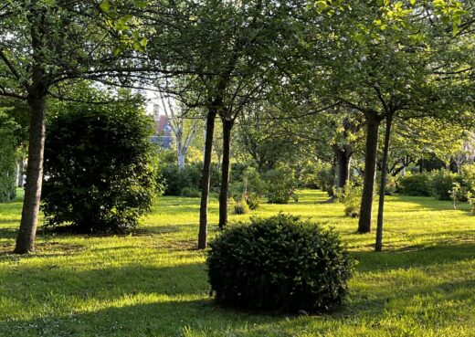 Charles Birmingham's Cider Orchard
