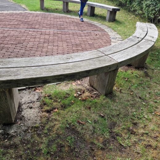Close view of a weathered curved timber bench after around 20 years outdoors at Pannett Park