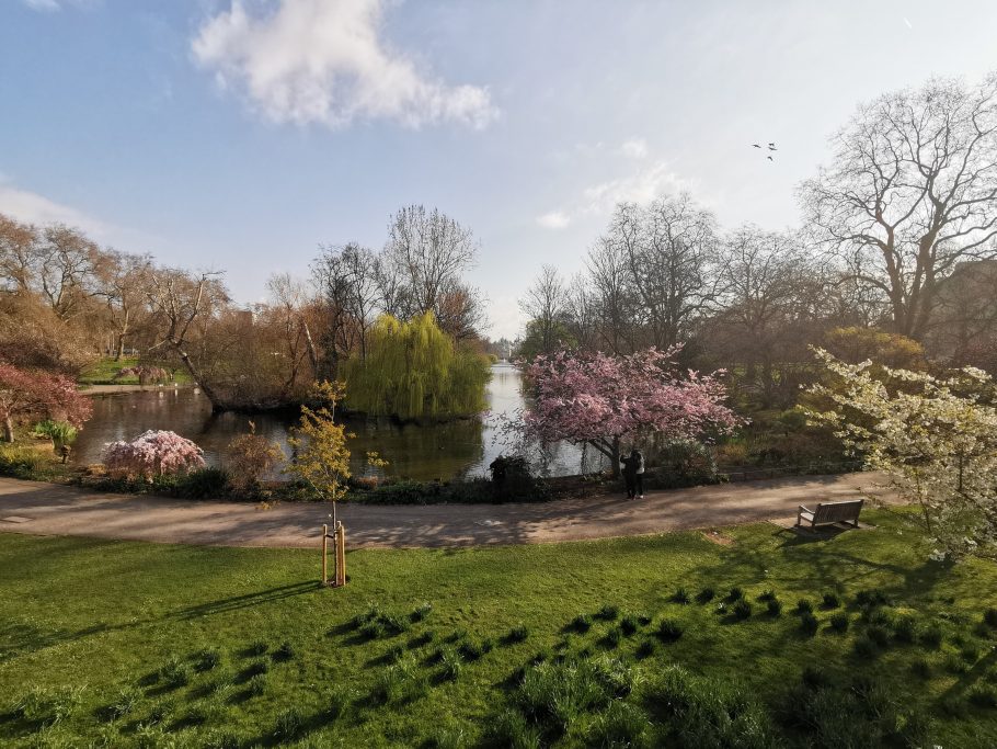 St James' Park London with bench in foreground