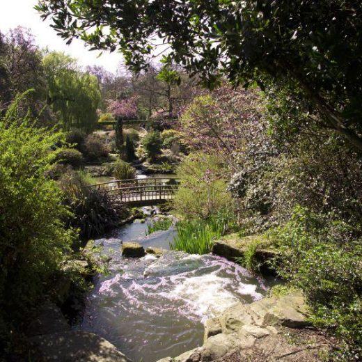 Regents Park pathway in London