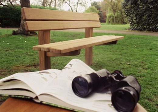 Our Staxton wooden park bench