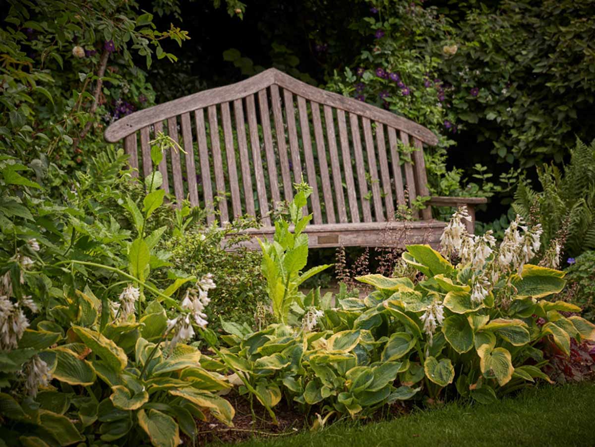 The Bute Memorial bench
